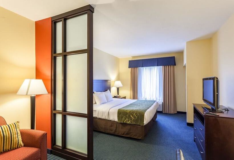 장애인을 위한 스위트, Comfort Suites East Lincoln Mall Area