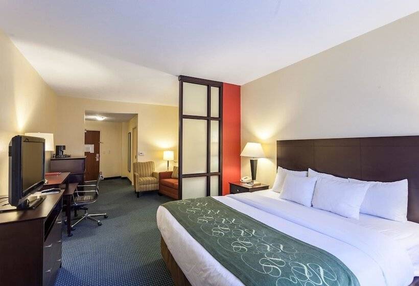 장애인을 위한 스위트, Comfort Suites East Lincoln Mall Area