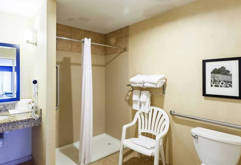 Люкс Адаптированный для Инвалидов, Comfort Suites East Lincoln   Mall Area