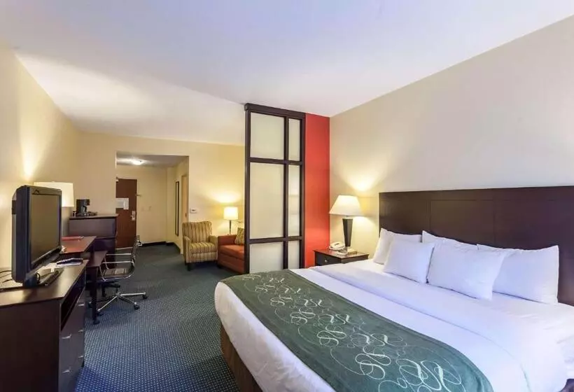 سوئیت با تخت بزرگ, Comfort Suites East Lincoln   Mall Area