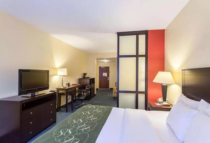 سوئیت با تخت بزرگ, Comfort Suites East Lincoln   Mall Area