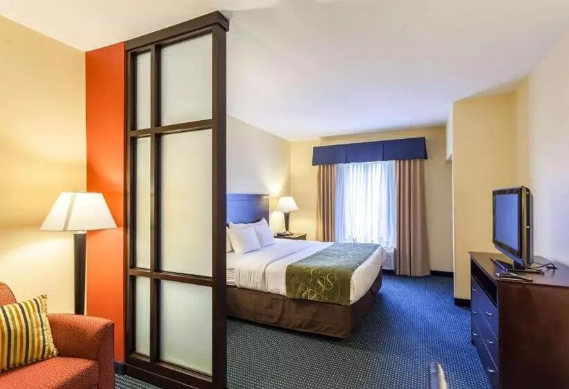 سوئیت با تخت بزرگ, Comfort Suites East Lincoln   Mall Area