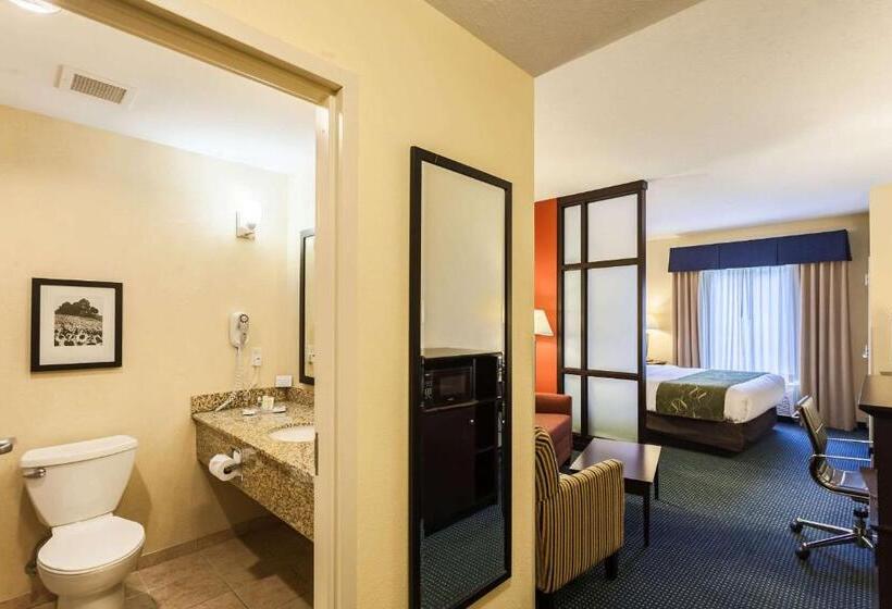 스위트 킹사이즈 침대, Comfort Suites East Lincoln Mall Area