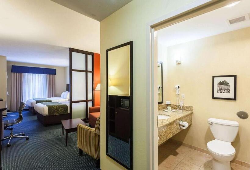 스위트, Comfort Suites East Lincoln Mall Area