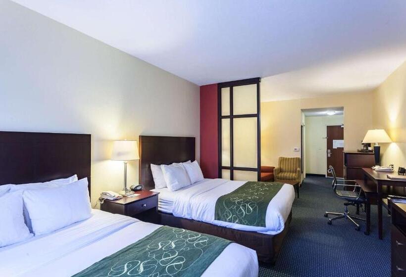 Люкс Адаптированный для Инвалидов, Comfort Suites East Lincoln   Mall Area
