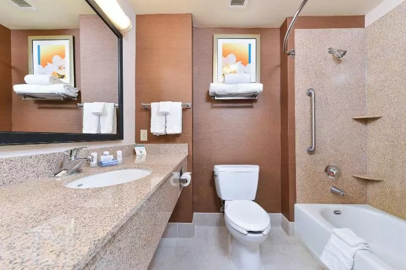 Executive-sviitti King-vuode, Fairfield Inn And Suites By Marriott Elk Grove