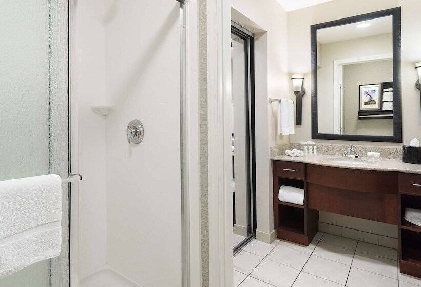 اتاق استاندارد برای معلولان, Homewood Suites By Hilton Shreveport
