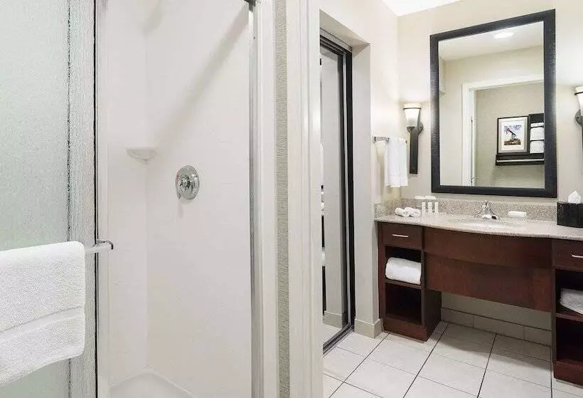 اتاق استاندارد برای معلولان, Homewood Suites By Hilton Shreveport