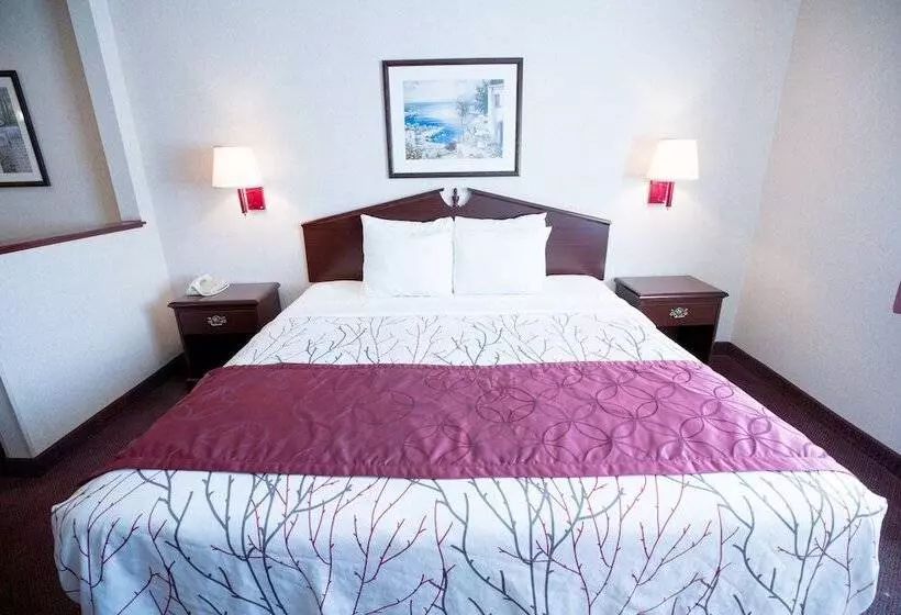２ベッドスイートルーム, Portland Suites Airport East