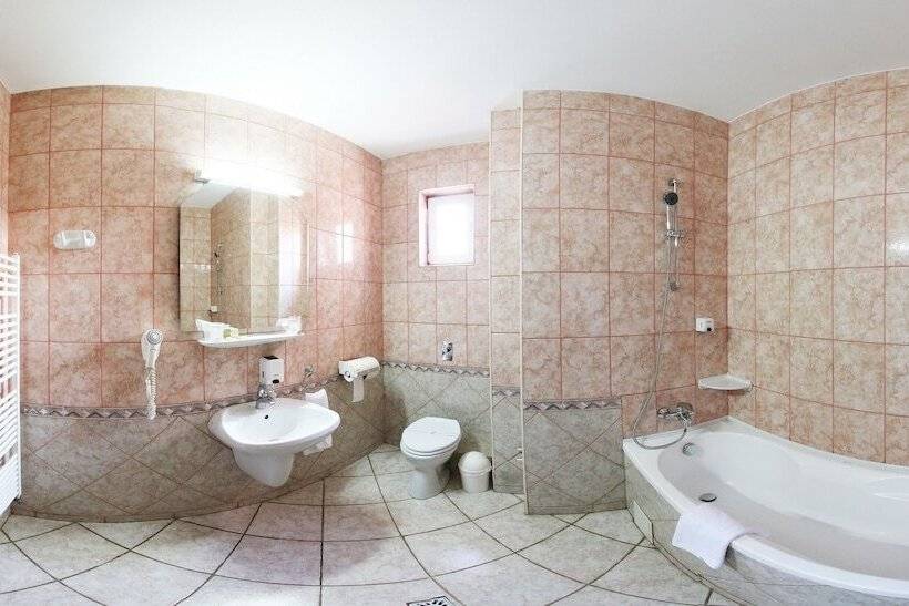 דירת חדר, Premier