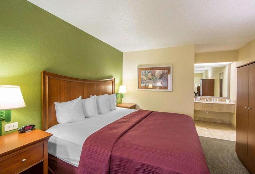 اتاق استاندارد با تخت بزرگ, Quality Inn Merchants Drive