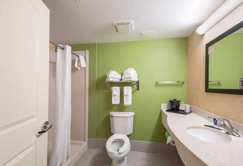 غرفه قياسيه سريرين مزدوجين, Sleep Inn & Suites