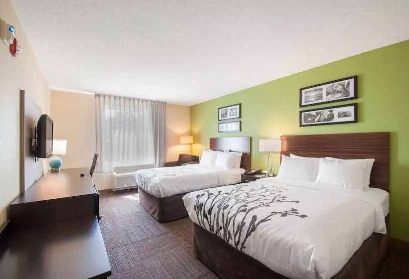 ２ダブルベッドのスタンダードルーム, Sleep Inn & Suites
