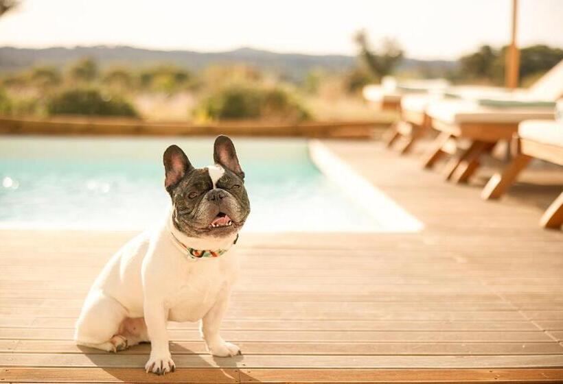 ویلای 2 خوابه, Octant Evora