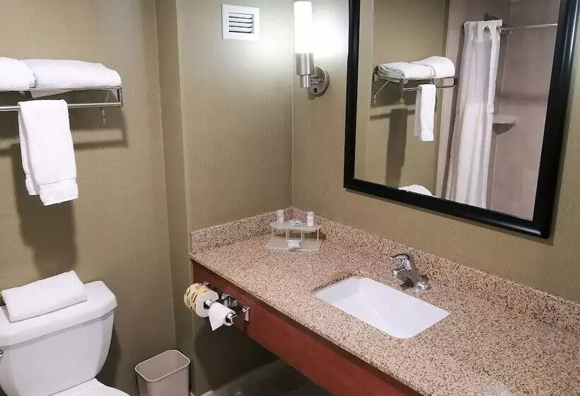Standard-huone, Holiday Inn Express & Suites Toluca Zona Aeropuerto, An Ihg