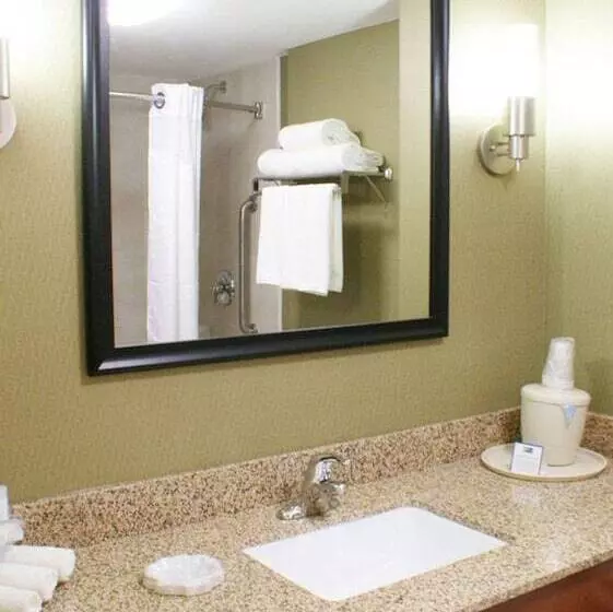 Standard-huone, Holiday Inn Express & Suites Toluca Zona Aeropuerto, An Ihg