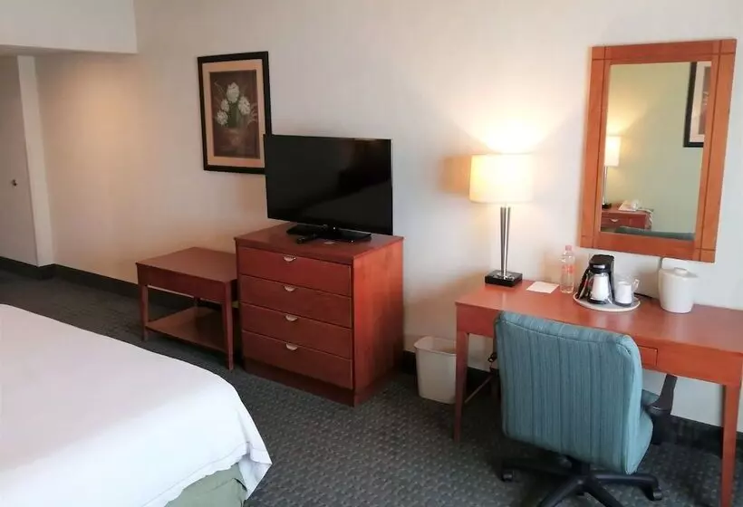 Standard-huone, Holiday Inn Express & Suites Toluca Zona Aeropuerto, An Ihg