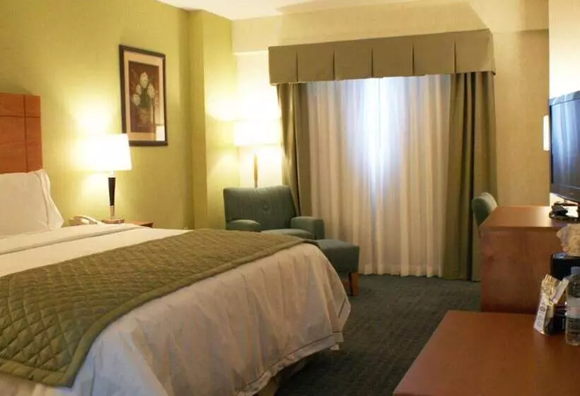Standard-huone, Holiday Inn Express & Suites Toluca Zona Aeropuerto, An Ihg