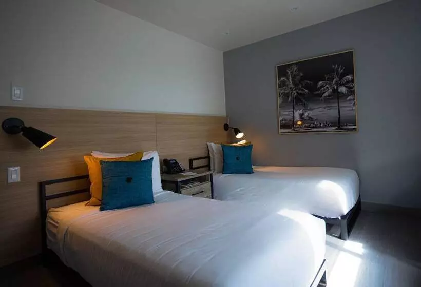 اتاق استاندارد, The Ivy Hotel San Juan