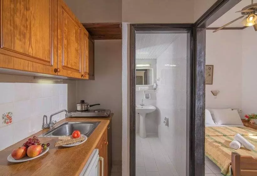 آپارتمان 1 خوابه با چشمانداز, Iliostasi Beach Apartments