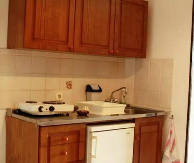 آپارتمان 1 خوابه با چشمانداز باغ, Iliostasi Beach Apartments