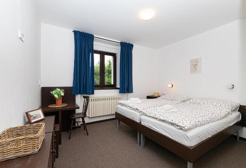 스탠다드 룸, Horský Hotel Sport