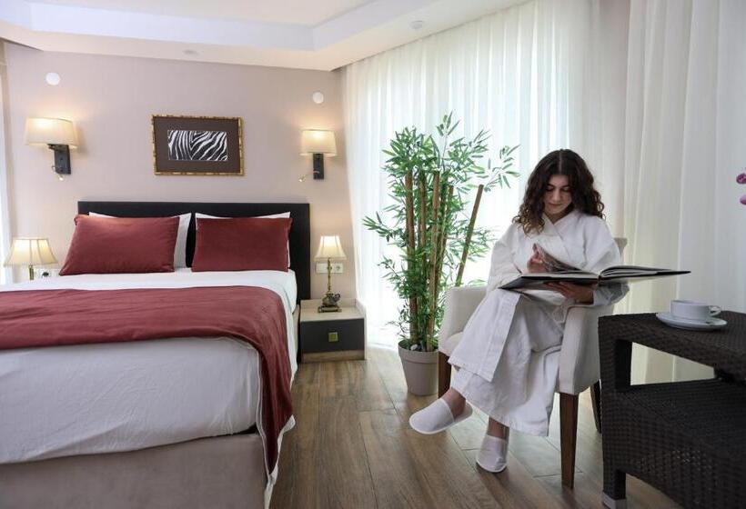 اتاق لوکس با تراس, 212 Olympos