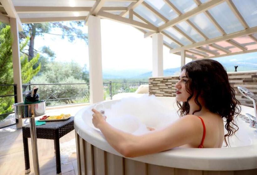 اتاق لوکس با تراس, 212 Olympos