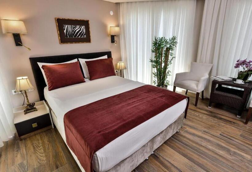 اتاق لوکس با تراس, 212 Olympos