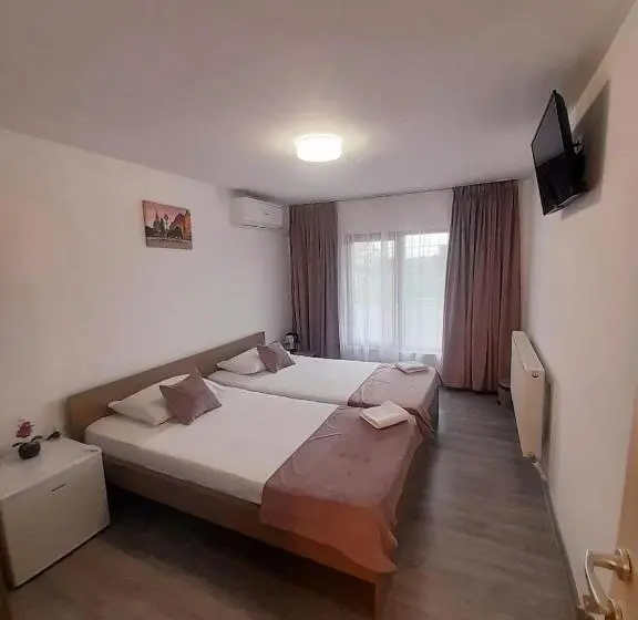 Standard-huone, Pensiunea Albert