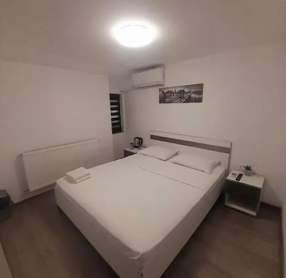 Standard-huone, Pensiunea Albert