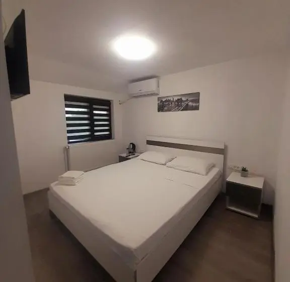 Standard-huone, Pensiunea Albert