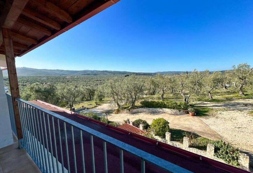 Номер Стандарт Вид на Сад, Valle Degli Ulivi B&b