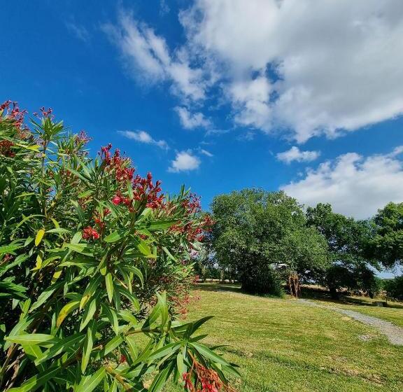 Апартаменты Deluxe 1 Спальня, Les Bulles Perchées De Lartigue