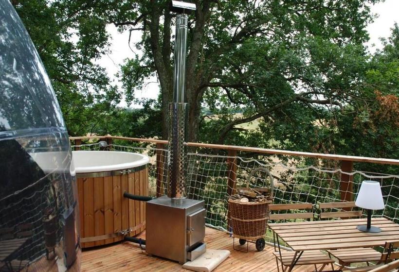 Апартаменты Deluxe 1 Спальня, Les Bulles Perchées De Lartigue