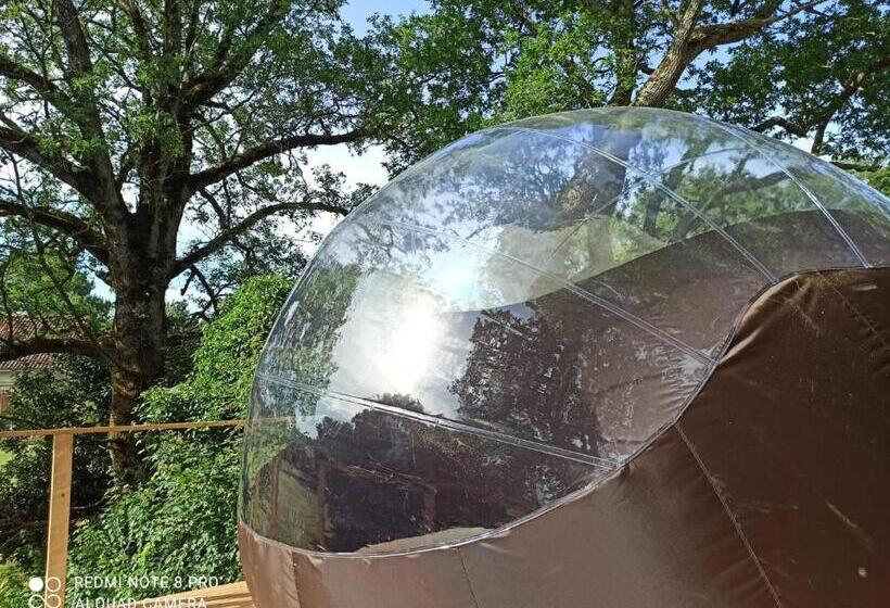 Апартаменты Deluxe 1 Спальня, Les Bulles Perchées De Lartigue