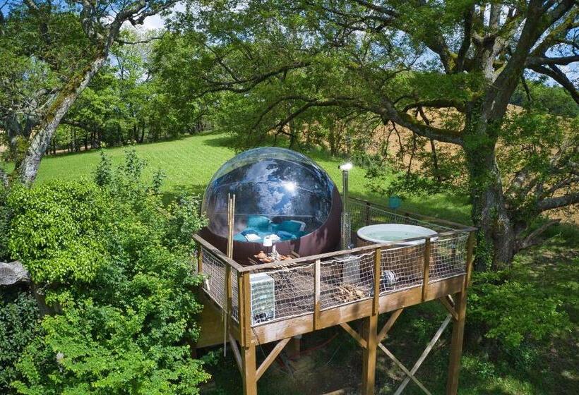 Апартаменты Deluxe 1 Спальня, Les Bulles Perchées De Lartigue