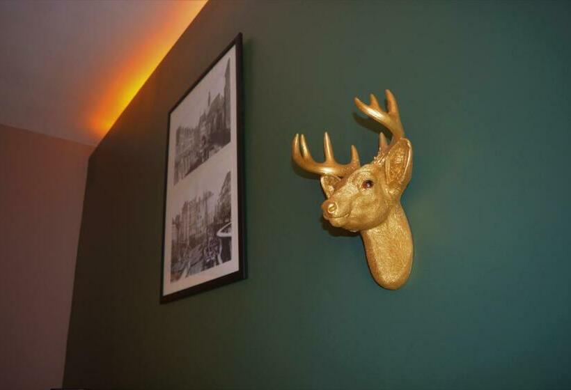 غرفة قياسية, Mezonvin