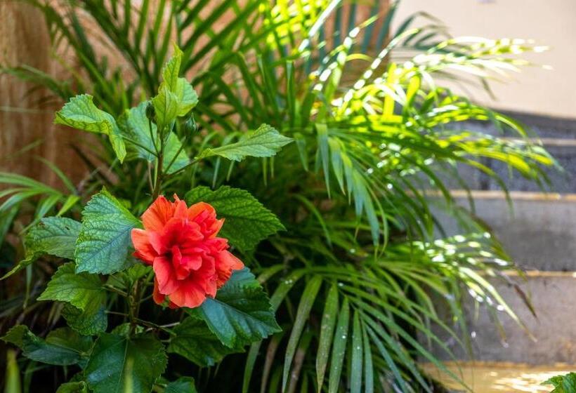 اتاق لوکس با بالکن و چشمانداز دریا, Casa Biulú