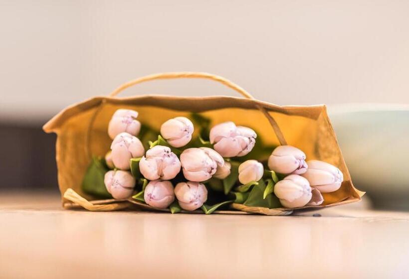 جناح غرفتين نوم, Apartmenthaus Am Park