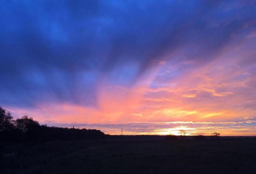 شقة غرفة واحدة, Apartmenthaus Am Park