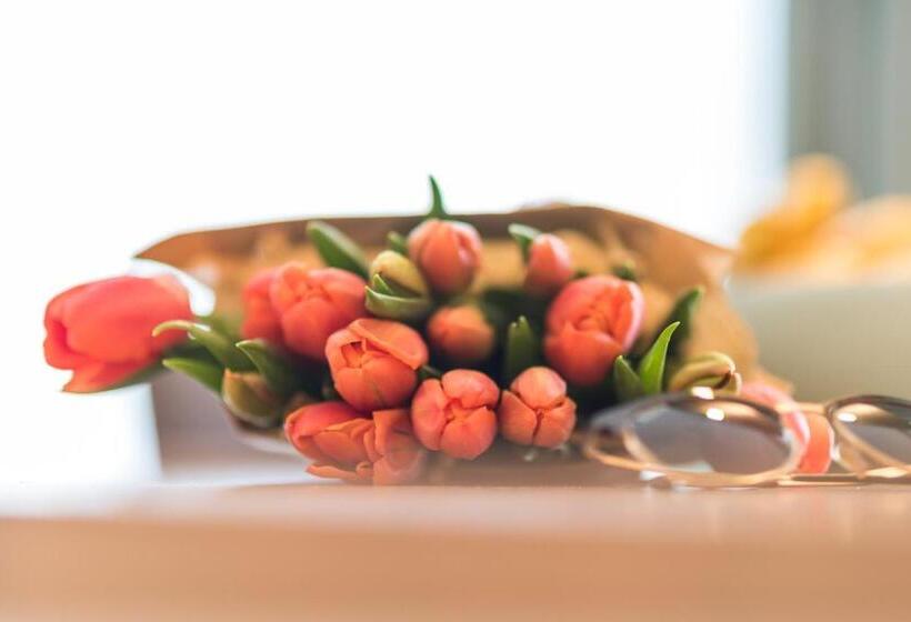 إستوديو قياسى, Apartmenthaus Am Park