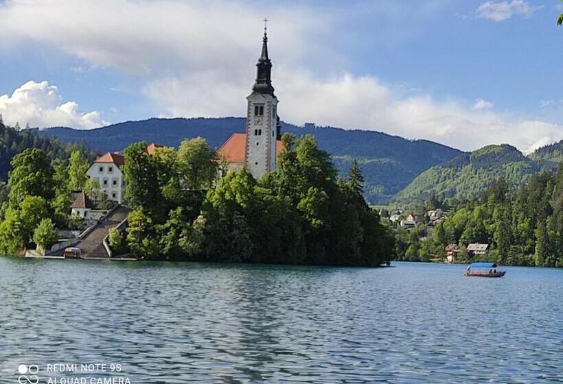 اتاق استاندارد چهارنفره با سرویس بهداشتی مشترک, Hacienda Bled Rooms