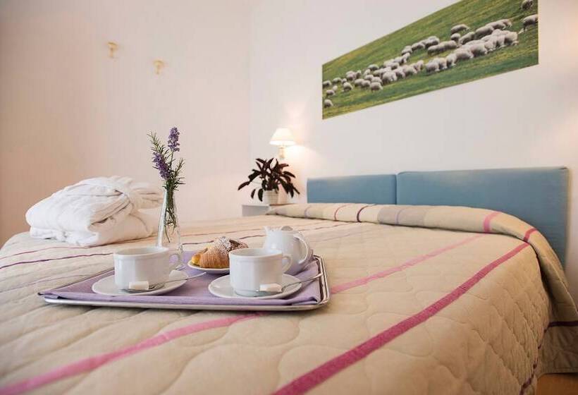 标准三人间, Angiolino