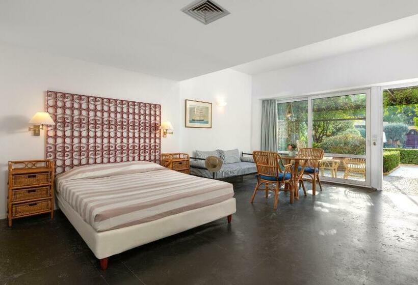 Студио Стандарт с Террасой, Dionysos