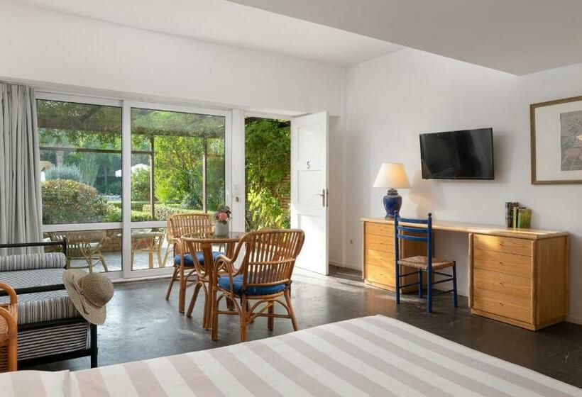 Студио Стандарт с Террасой, Dionysos