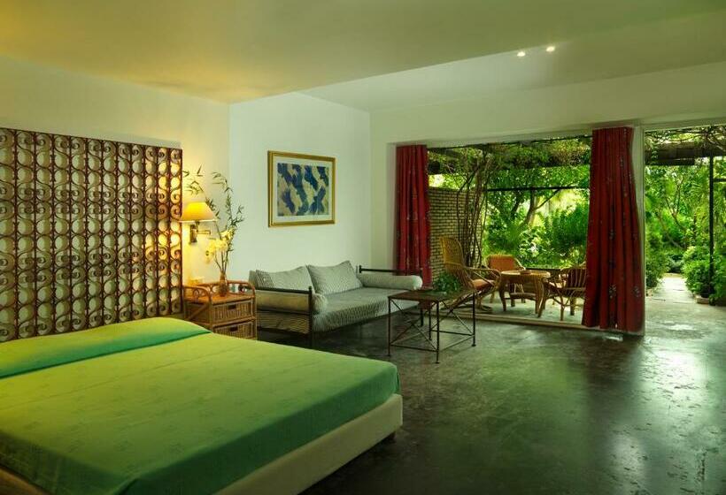 Студио Стандарт с Террасой, Dionysos