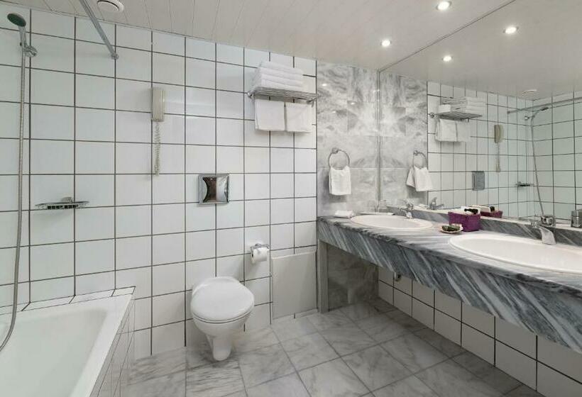 Студио Стандарт с Террасой, Dionysos