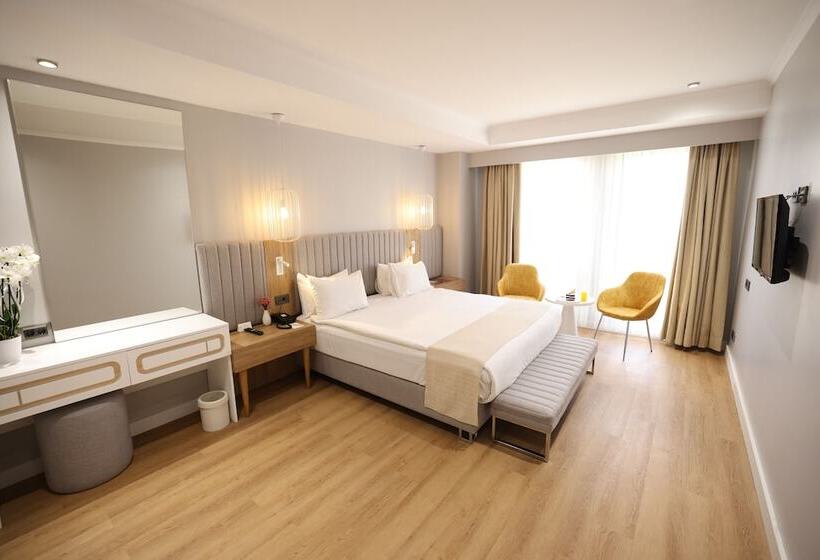اتاق استاندارد با تخت بزرگ, Sundance Istanbul