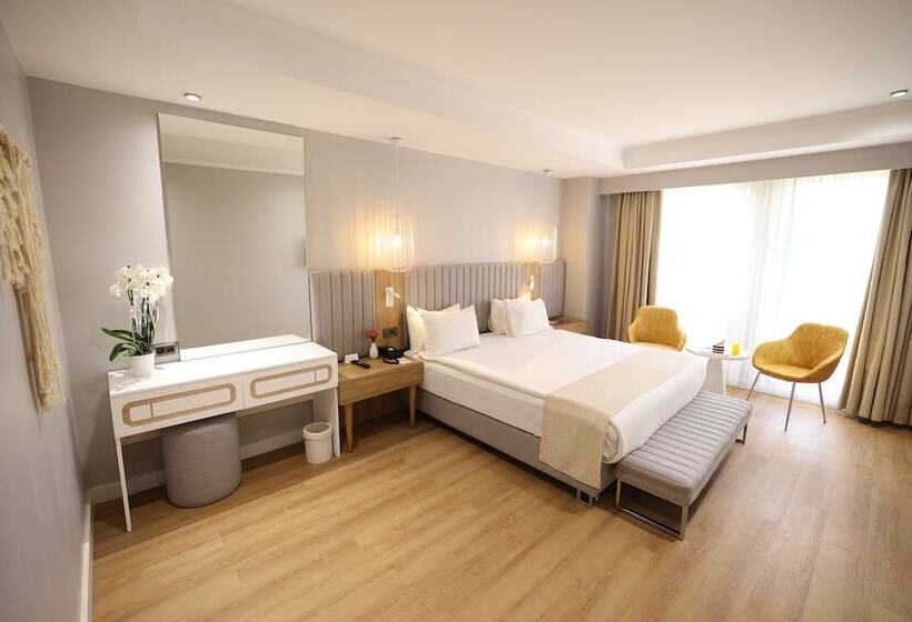 اتاق استاندارد با تخت بزرگ, Sundance Istanbul